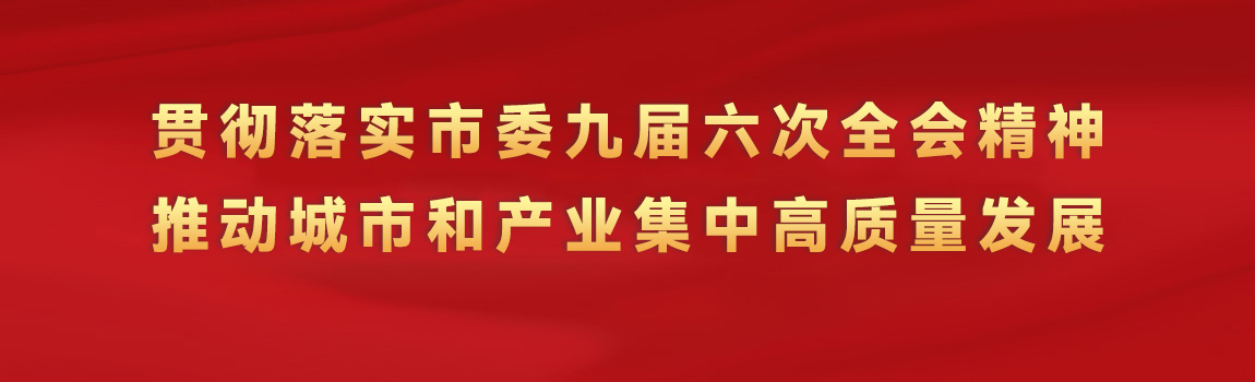 貫徹落實市委九屆六次全會精神